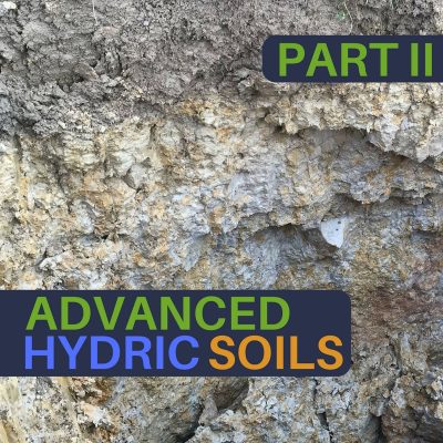 Advanced Hydric Soils - Online