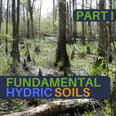 Fundamental Hydric Soils - Online