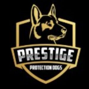 Profile photo of Prestige Protection Dogs